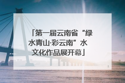 第一届云南省“绿水青山·彩云南”水文化作品展开幕