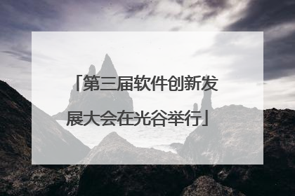 第三届软件创新发展大会在光谷举行