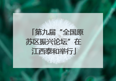 第九届“全国原苏区振兴论坛”在江西泰和举行