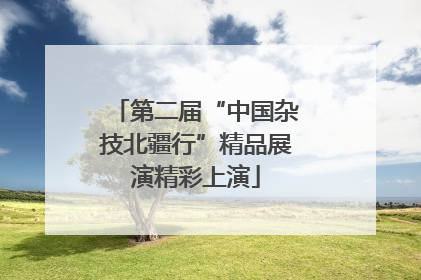 第二届“中国杂技北疆行”精品展演精彩上演