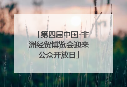 第四届中国-非洲经贸博览会迎来公众开放日