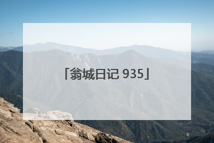 翁城日记 935