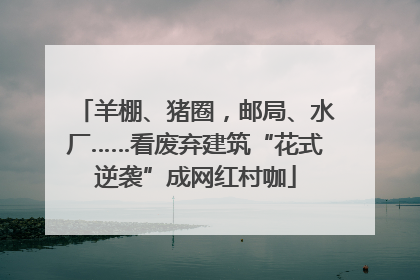 羊棚、猪圈，邮局、水厂……看废弃建筑“花式逆袭”成网红村咖