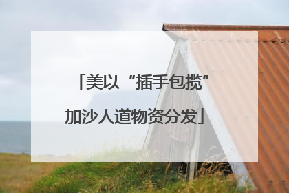 美以“插手包揽”加沙人道物资分发