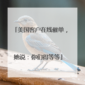 美国客户在线催单，她说：你们得等等
