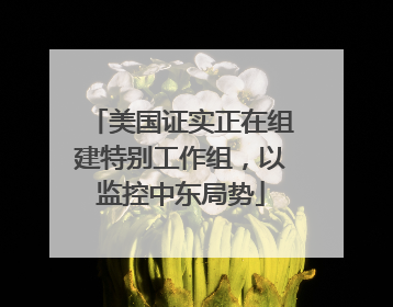 美国证实正在组建特别工作组，以监控中东局势