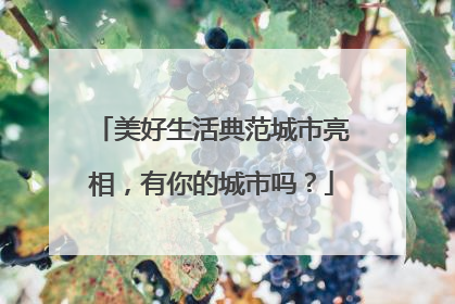 美好生活典范城市亮相，有你的城市吗？