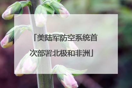 美陆军防空系统首次部署北极和非洲