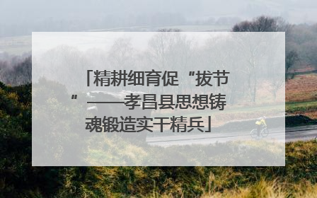 精耕细育促“拔节”——孝昌县思想铸魂锻造实干精兵