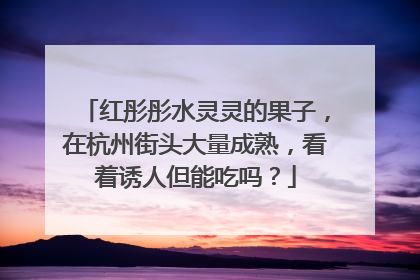 红彤彤水灵灵的果子，在杭州街头大量成熟，看着诱人但能吃吗？