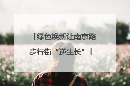 绿色焕新让南京路步行街“逆生长”