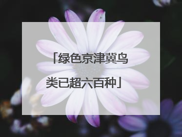 绿色京津冀鸟类已超六百种