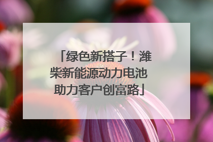 绿色新搭子！潍柴新能源动力电池助力客户创富路