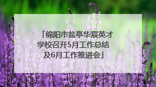 绵阳市盐亭华宸英才学校召开5月工作总结及6月工作推进会