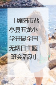绵阳市盐亭县五龙小学开展全国无烟日主题班会活动