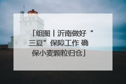 组图丨沂南做好“三夏”保障工作 确保小麦颗粒归仓