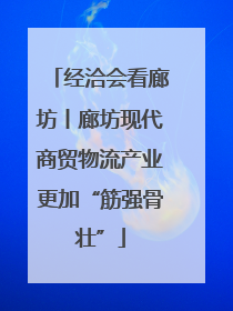 经洽会看廊坊丨廊坊现代商贸物流产业更加“筋强骨壮”