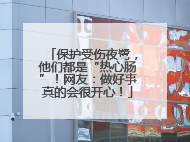 保护受伤夜鹭，他们都是“热心肠”！网友：做好事真的会很开心！