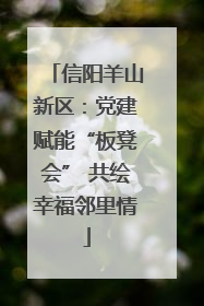信阳羊山新区：党建赋能“板凳会” 共绘幸福邻里情