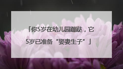 你5岁在幼儿园蹦跶，它5岁已准备“娶妻生子”