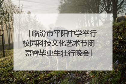 临汾市平阳中学举行校园科技文化艺术节闭幕暨毕业生壮行晚会