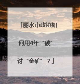丽水市政协如何用4年“碳”讨“金矿”？