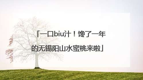 一口biu汁！馋了一年的无锡阳山水蜜桃来啦
