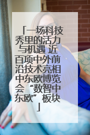 一场科技秀里的活力与机遇 近百项中外前沿技术亮相中东欧博览会“数智中东欧”板块