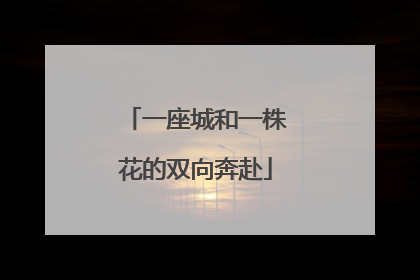 一座城和一株花的双向奔赴