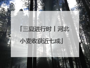 三夏进行时丨河北小麦收获近七成