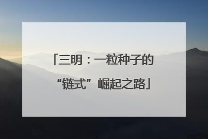 三明：一粒种子的“链式”崛起之路