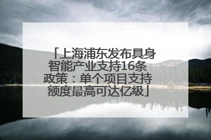 上海浦东发布具身智能产业支持16条政策：单个项目支持额度最高可达亿级
