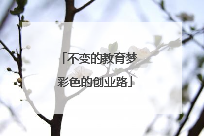 不变的教育梦 彩色的创业路