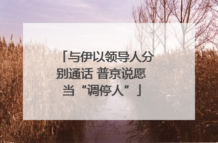 与伊以领导人分别通话 普京说愿当“调停人”