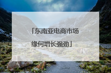 东南亚电商市场缘何增长强劲