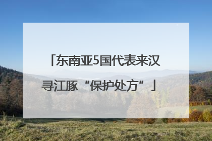 东南亚5国代表来汉寻江豚“保护处方”