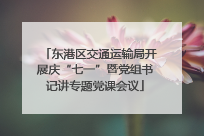 东港区交通运输局开展庆“七一”暨党组书记讲专题党课会议