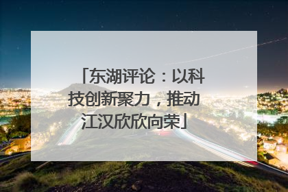 东湖评论：以科技创新聚力，推动江汉欣欣向荣