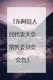 东阿县人民代表大会常务委员会公告