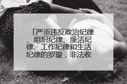 严重违反政治纪律、组织纪律、廉洁纪律、工作纪律和生活纪律的罗璇，非法收受他人巨额财物