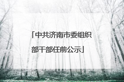 中共济南市委组织部干部任前公示