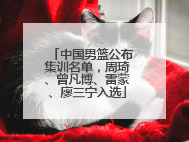 中国男篮公布集训名单，周琦、曾凡博、雷蒙、廖三宁入选