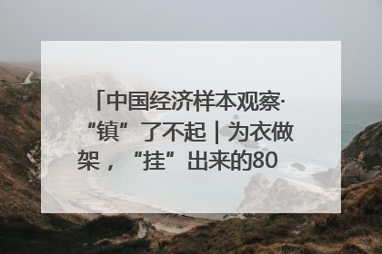 中国经济样本观察·“镇”了不起｜为衣做架，“挂”出来的80亿元“衣架产业”