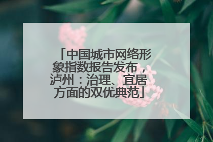 中国城市网络形象指数报告发布，泸州：治理、宜居方面的双优典范