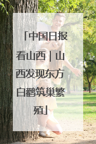 中国日报看山西｜山西发现东方白鹳筑巢繁殖