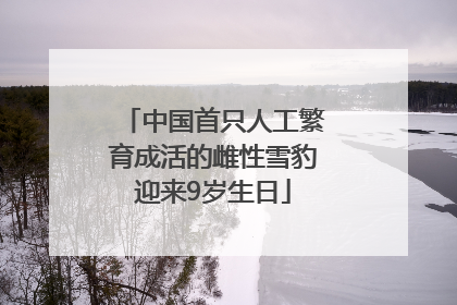 中国首只人工繁育成活的雌性雪豹迎来9岁生日