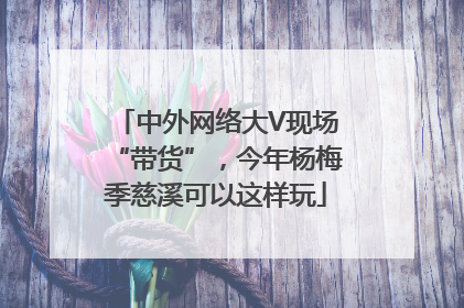 中外网络大V现场“带货”，今年杨梅季慈溪可以这样玩