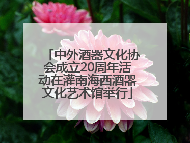 中外酒器文化协会成立20周年活动在灌南海西酒器文化艺术馆举行