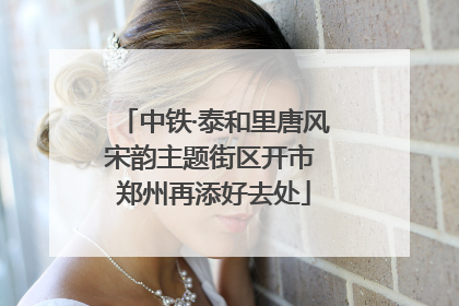 中铁·泰和里唐风宋韵主题街区开市 郑州再添好去处