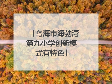 乌海市海勃湾第九小学创新模式有特色